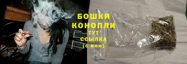ECSTASY Вяземский