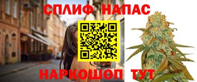 молекула духа Волжский