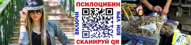 Галлюциногенные грибы Psilocybine cubensis Тобольск