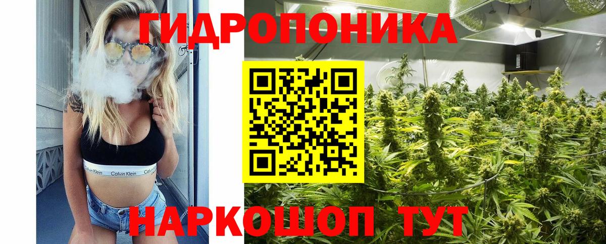 Каннабис White Widow Тобольск